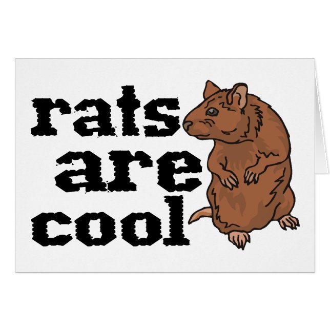 Las ratas son frescas (Anverso (Horizontal))