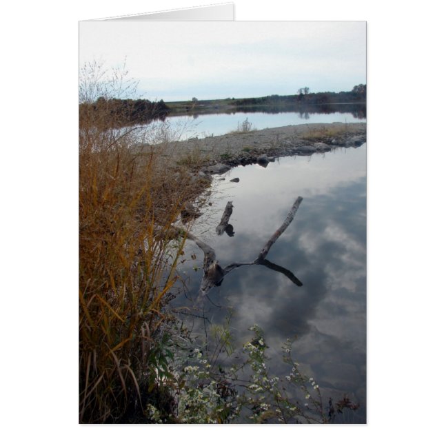 Las reflexiones perfectas (Frente)