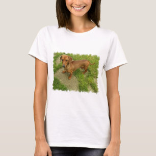 Las señoras de Daschund cupieron la camiseta