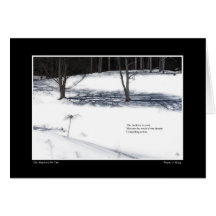 Las sombras que cubrimos Haiku