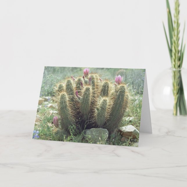 Las tarjetas de felicitación o las tarjetas de not (Anverso)