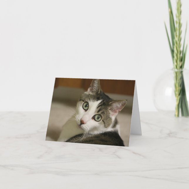 Las tarjetas de nota más minúsculas del tigre (Anverso)