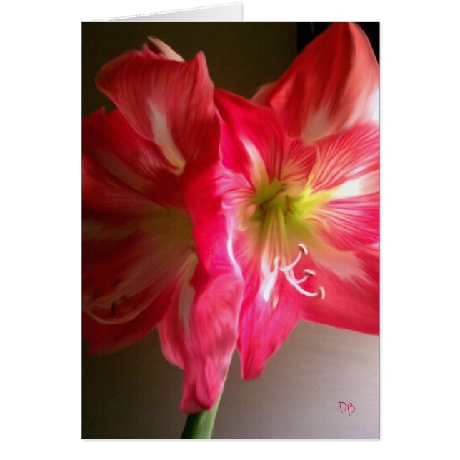 Las tarjetas de regalo (Frente)