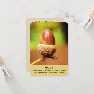 Las tarjetas de ritual, de adivinación y de curaci