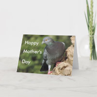 Las tarjetas del día de la madre de la pichón funk