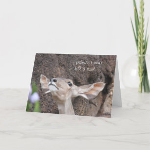 las tarjetas del parque zoológico, cumpleaños,