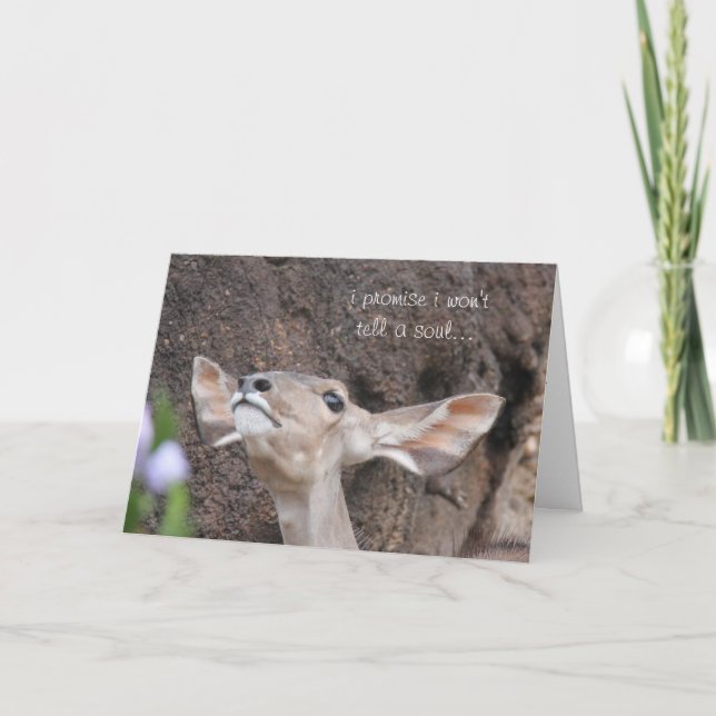 las tarjetas del parque zoológico, cumpleaños, (Anverso)