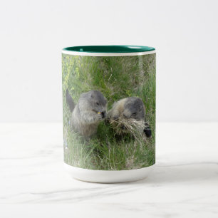 Las tazas de las marmotas - elija el estilo y el