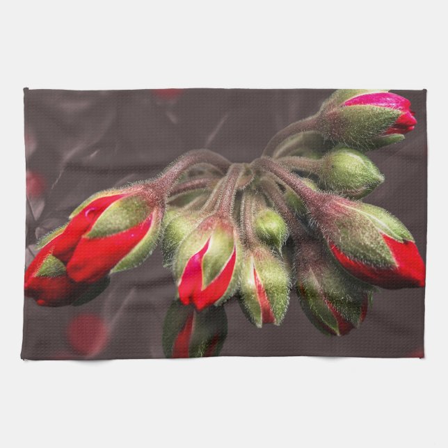 Las Toallas De Cocina Están Rojas Y Oscuras (Horizontal)