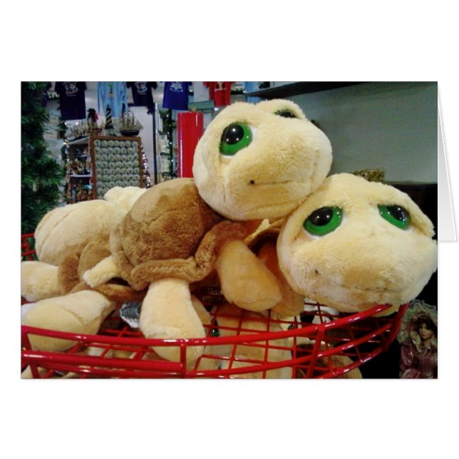 ***LAS TORTUGAS DE AMOR*** ¡JUSTO PARA USTEDES! (Anverso (Horizontal))