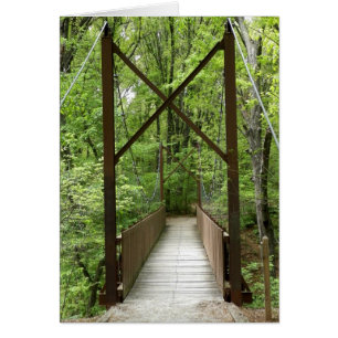 Las transiciones de la vida