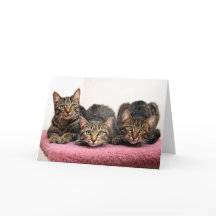 Las tres tarjetas del amigo