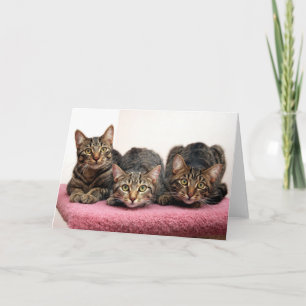 Las tres tarjetas del amigo