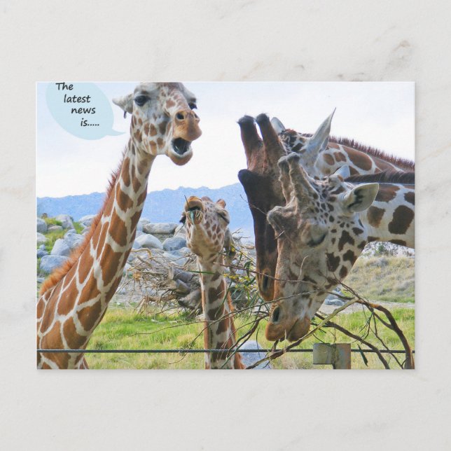 Las últimas noticias son postal (Anverso)