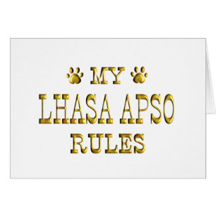 Lasa Apso gobierna el oro