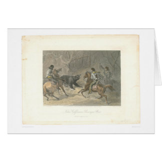 Lassoing un oso (1178A)