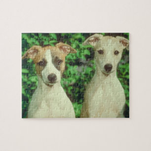 Lata y rompecabezas del perro de Whippet