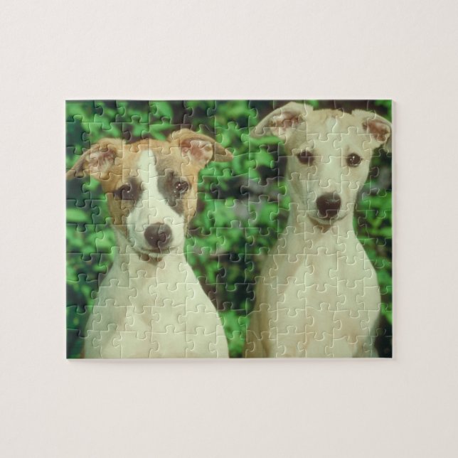 Lata y rompecabezas del perro de Whippet (Horizontal)