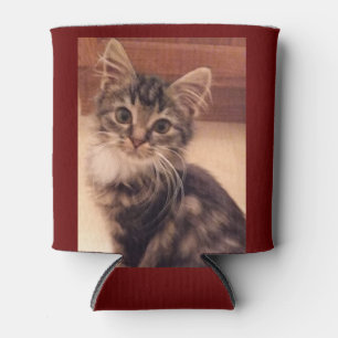 Latas Enfriador de Lata Aislada Gatos Gatitos Mininos