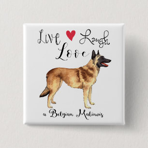 Lauder en vivo amar un botón belga de Malinois