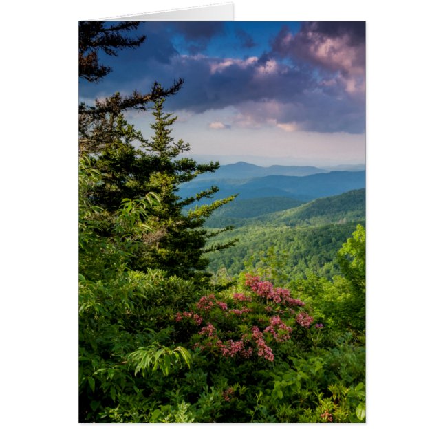 Laurel de la montaña al amanecer (Frente)