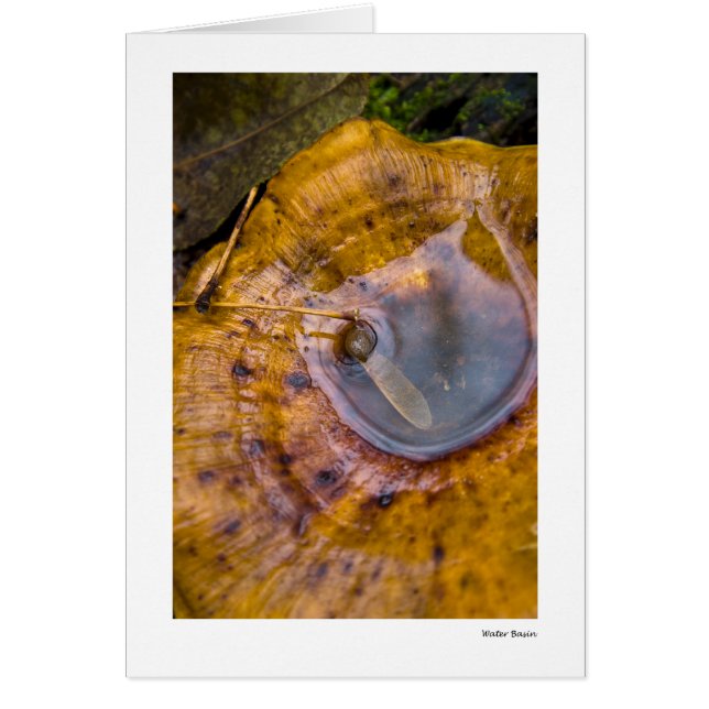 Lavabo del agua (Frente)