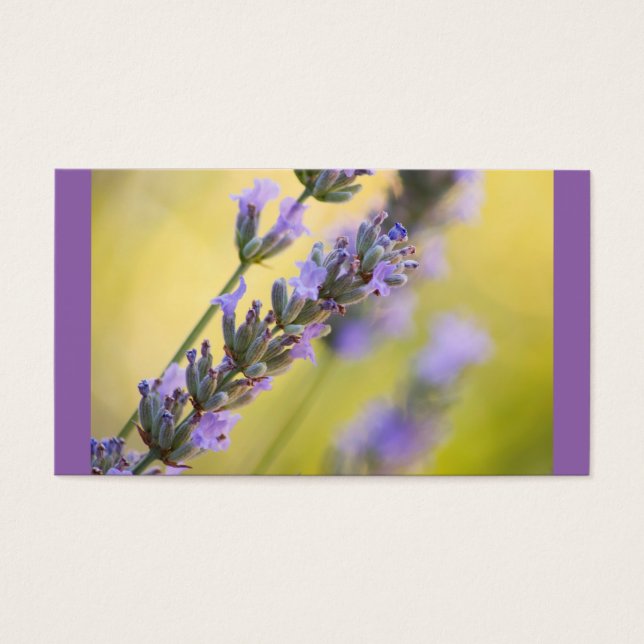 Lavanda dulce (Frente)