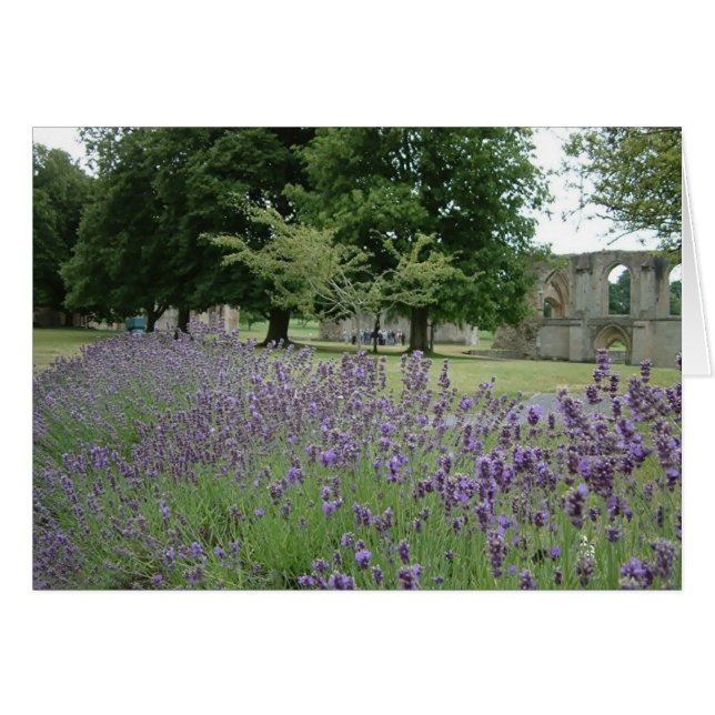 Lavanda en Glastonbury (Anverso (Horizontal))