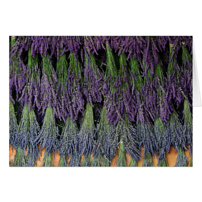 Lavanda en la bandeja de secado (Anverso (Horizontal))