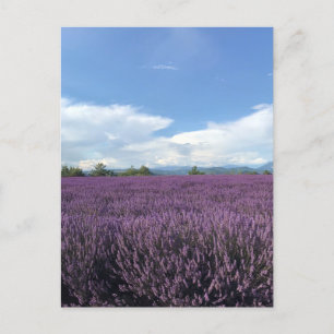 Lavanda en la tarjeta postal francesa Riviera Fran