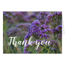 Lavanda junto al océano, gracias