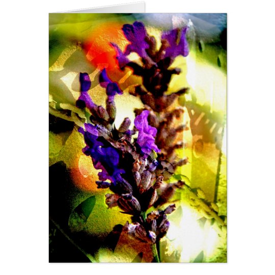 Lavanda y collage del moho - tarjeta