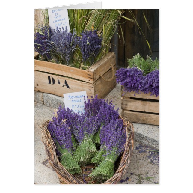 Lavendar en venta, Provenza, Francia (Frente)