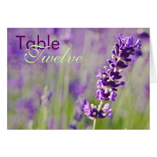 Lavendar • Tarjeta de la tabla (Anverso (Horizontal))