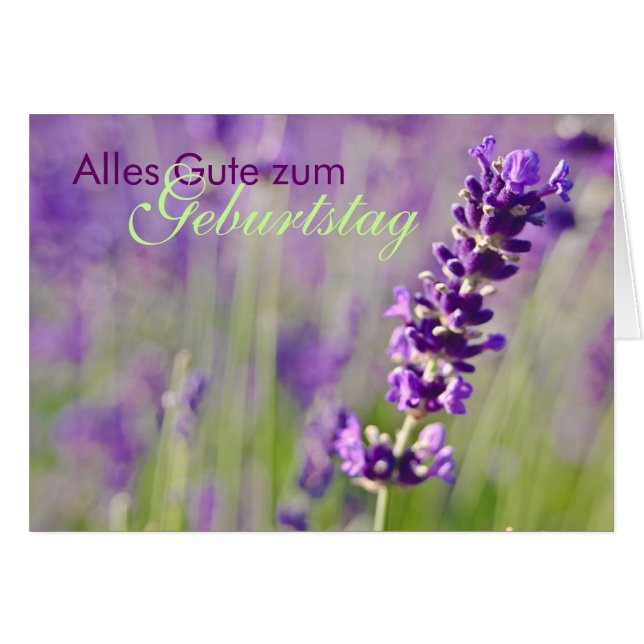 Lavendel • Geburtstagskarte (Anverso (Horizontal))