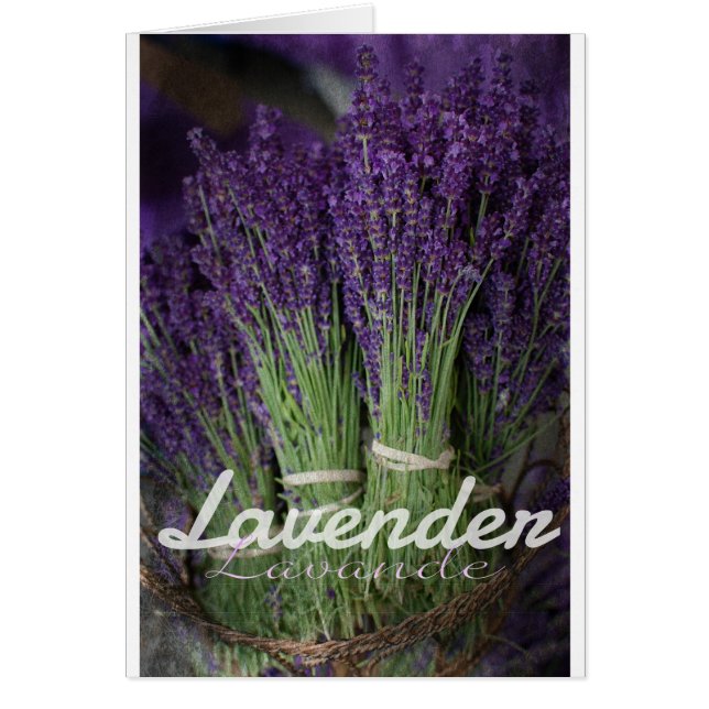 Lavender Bunch (Frente)
