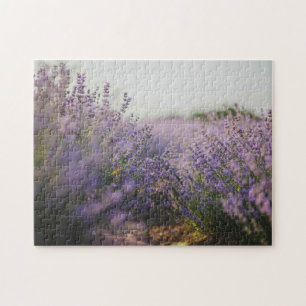 Lavender Campo edificio rompecabezas