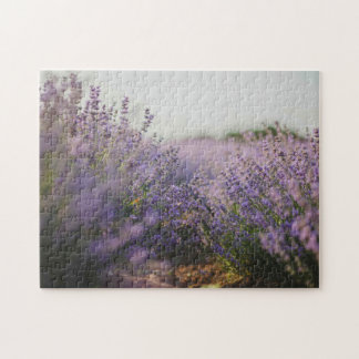 Lavender Campo edificio rompecabezas