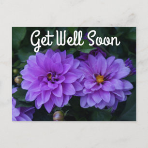 Lavender Dahlia Lilac Ponte bien pronto postales