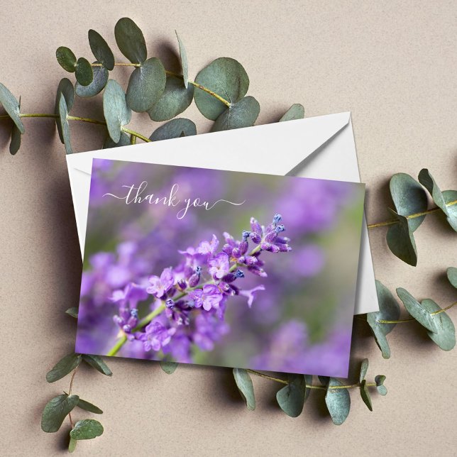 Lavender Gracias (Subido por el creador)