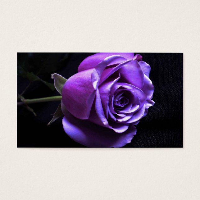 lavender rosa (Frente)