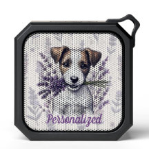 Lavender Terrier Love