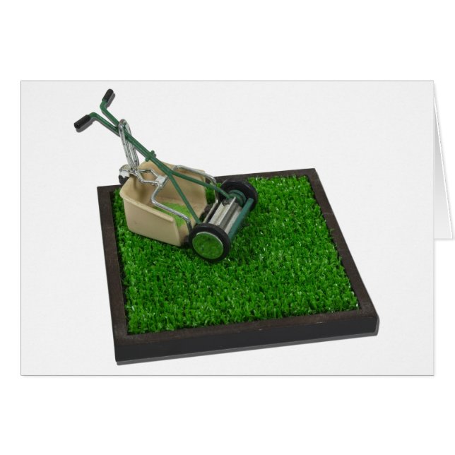 LawnmowerOnTheGrass100711 (Anverso (Horizontal))