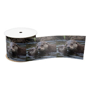 Lazo De Raso **"Adrift in Love: Mummy and Baby Otter"**