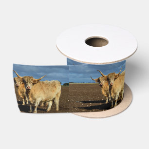 Lazo De Raso Altiplano dorado: La gracia de las vacas de color