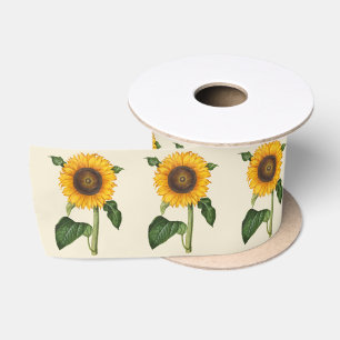 Lazo De Raso Arte Botánico de Girasol Vintage por Merian