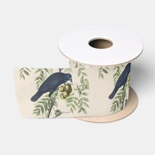 Lazo De Raso Arte de la naturaleza del cuervo americano Audubon