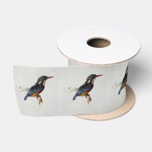 Lazo De Raso Ave Kingfisher (por John Ruskin)