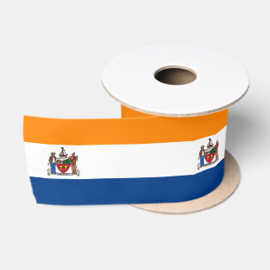 Lazo De Raso Bandera de Albany, Nueva York