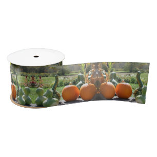 Lazo De Raso Base De La Granja De Gouras Y Calabazas 2 Caída